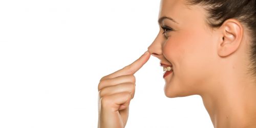 Voir Remonter la pointe du nez : chirurgie du nez, rhinoplastie